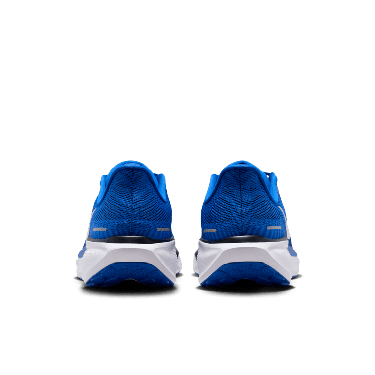 Duke Pegasus 41 Nike College Road Angle 3