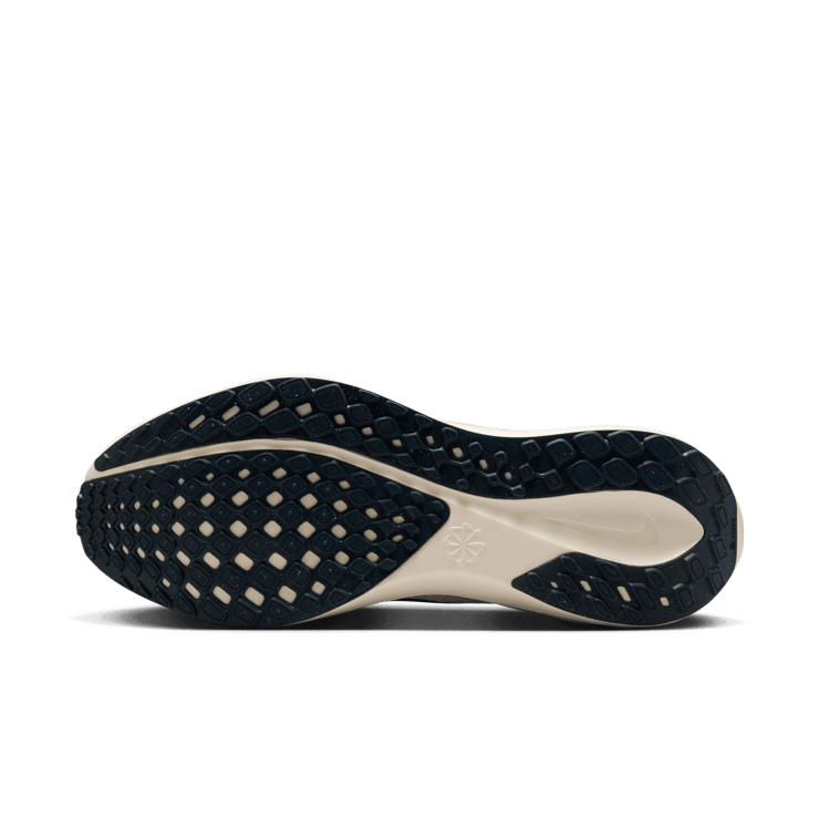 Nike Zoom Pegasus 41 Anniversary Angle 0