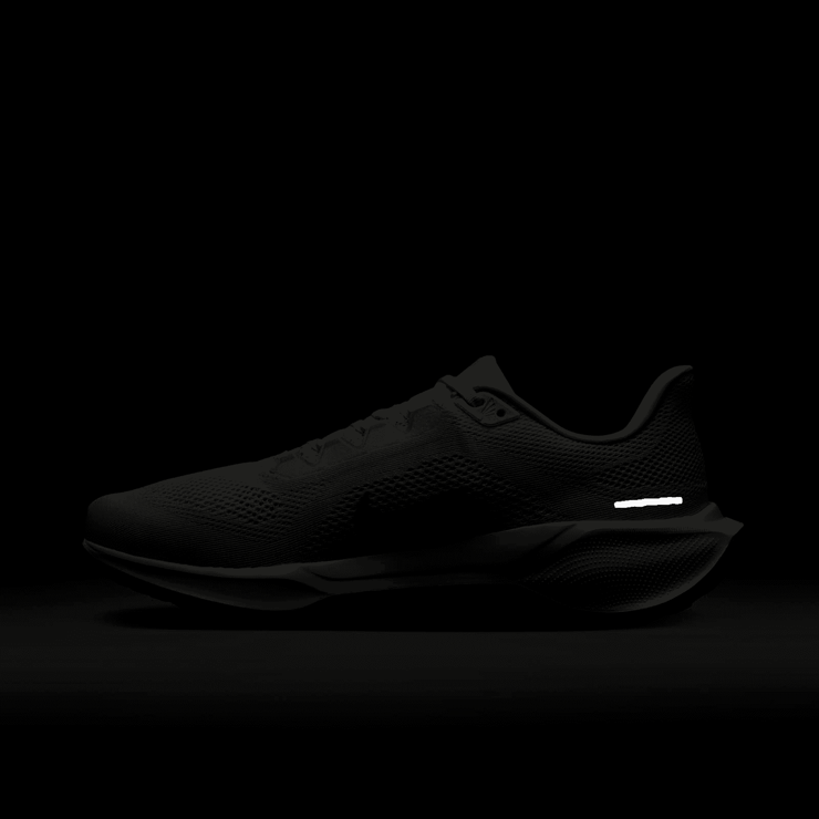 Nike Zoom Pegasus 41 Anniversary Angle 9