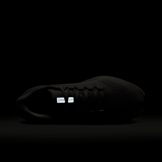 Nike Zoom Pegasus 41 Anniversary Angle 6