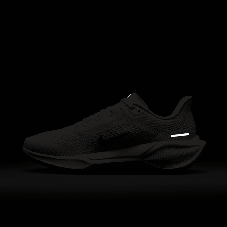 Nike Zoom Pegasus 41 Anniversary (W) Angle 9