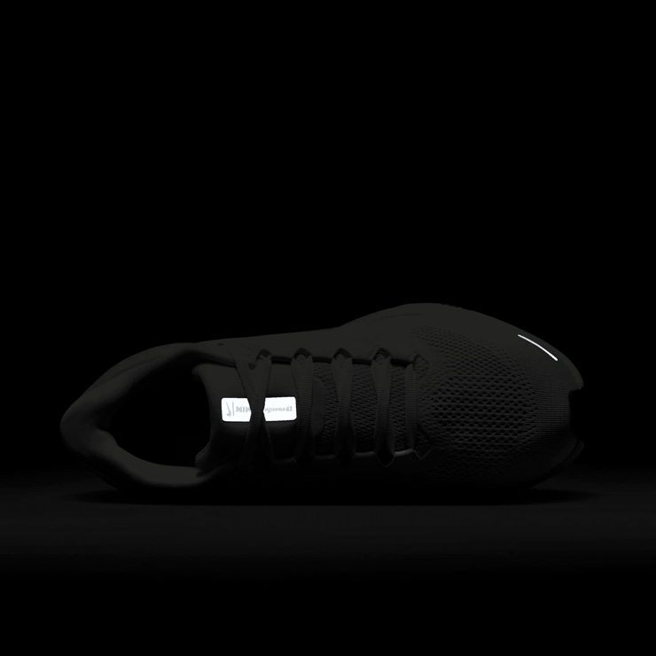 Nike Zoom Pegasus 41 Anniversary (W) Angle 6