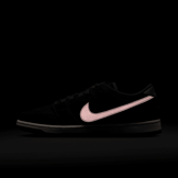 Nike SB Dunk Low Riot Skateshop Angle 9
