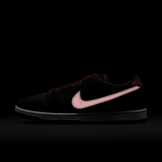 Nike SB Dunk Low Riot Skateshop Angle 8