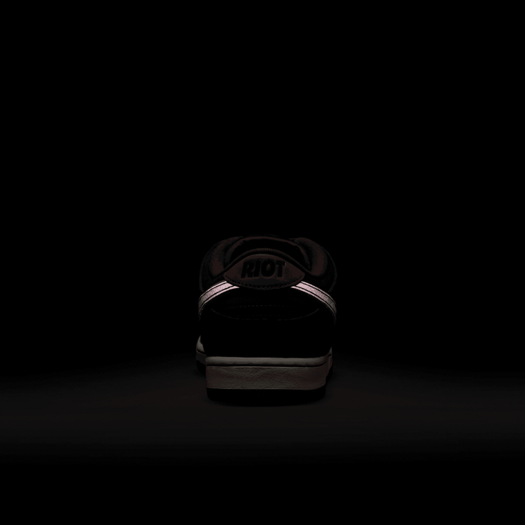 Nike SB Dunk Low Riot Skateshop Angle 7