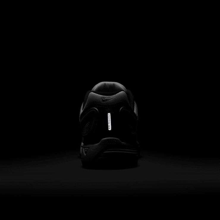 Nike Air Pegasus 2005 Angle 6