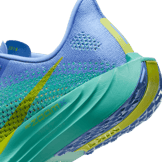 Nike Pegasus Plus Road Angle 5