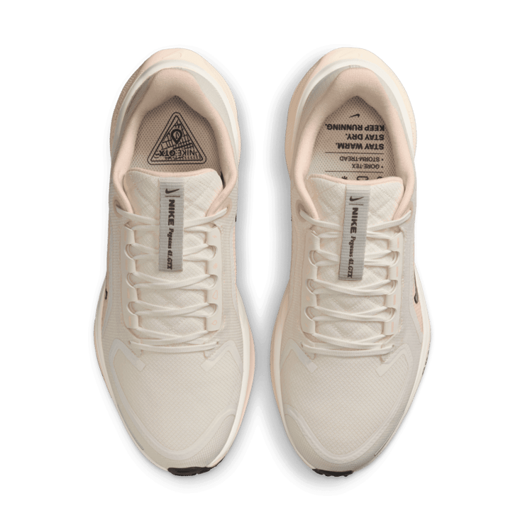 Nike Pegasus 41 GORE-TEX Waterproof Road Angle 1