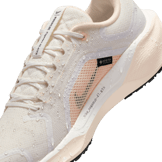 Nike Pegasus 41 GORE-TEX Waterproof Road Angle 10