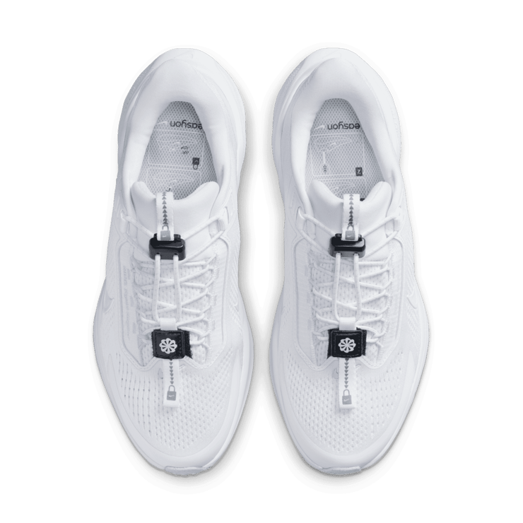 Nike Pegasus EasyOn Road Angle 1