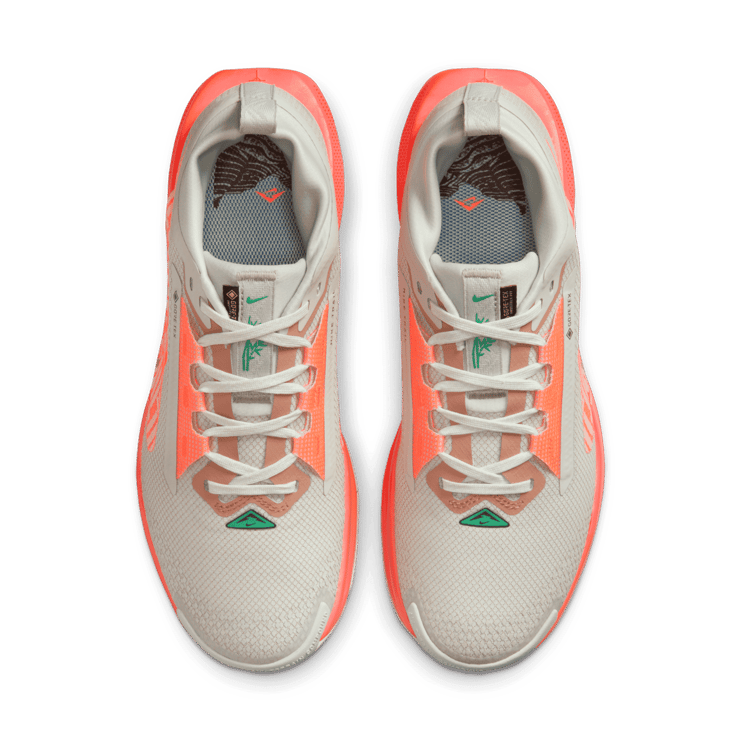 Nike Pegasus Trail 5 GORE-TEX Waterproof Trail Angle 1