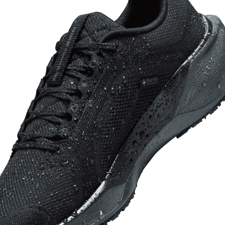 Nike Pegasus 41 GORE-TEX Waterproof Road Angle 10