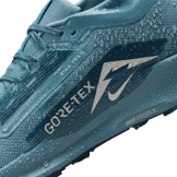 Nike Pegasus Trail 5 GORE-TEX Waterproof Trail Angle 7