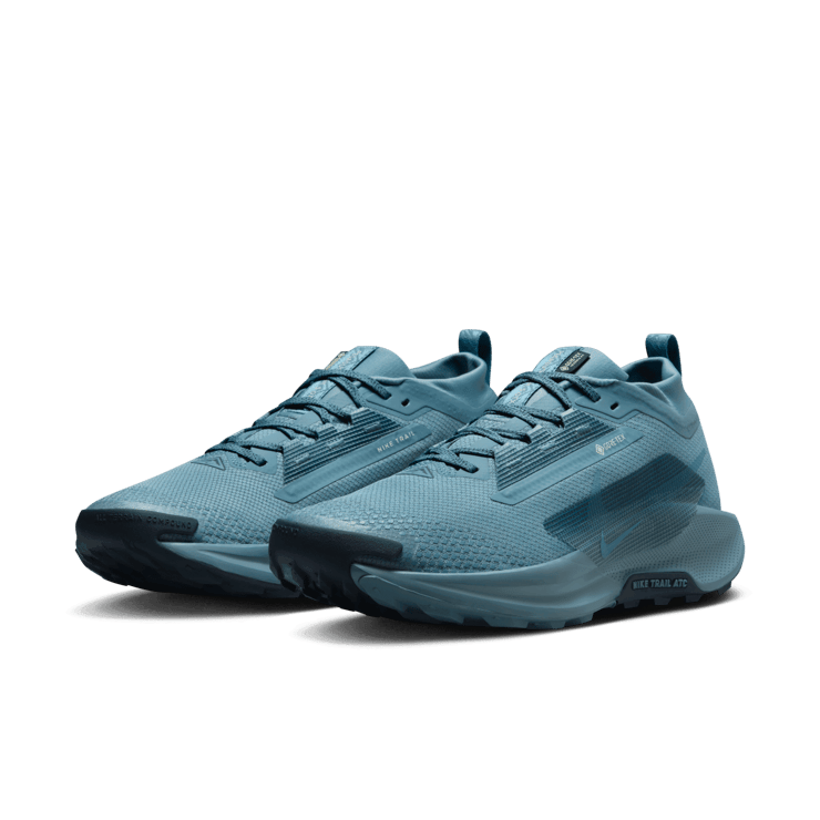 Nike Pegasus Trail 5 GORE-TEX Waterproof Trail Angle 2