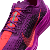 Nike Pegasus Plus Road Angle 4