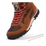 Puma RDR Boot GTX Noah Mahogany Angle 2