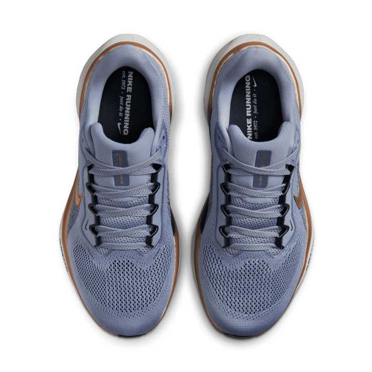 Nike Pegasus 41 Road (Extra Wide) Angle 1