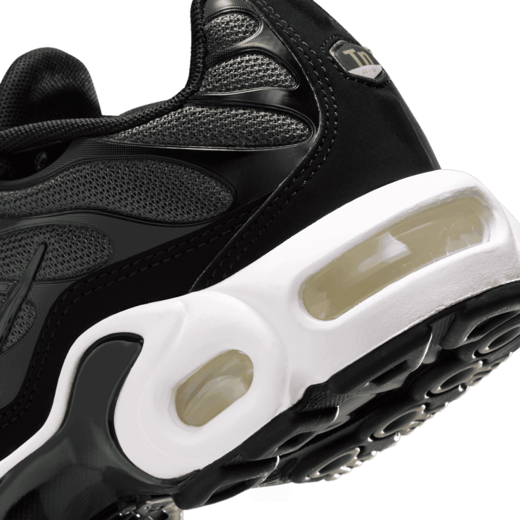 Nike Air Max Plus (GS) Angle 5