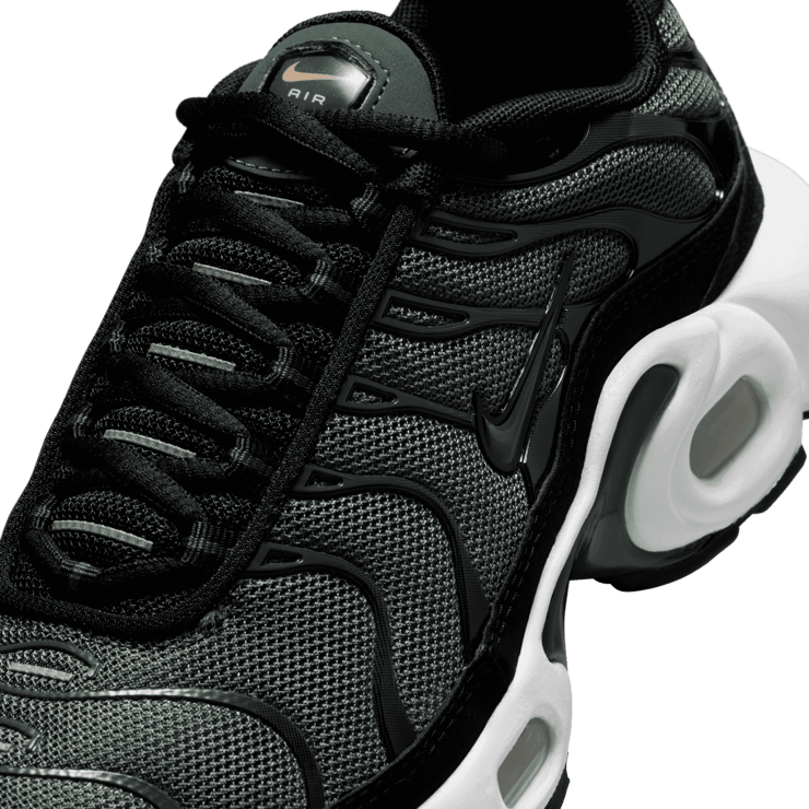 Nike Air Max Plus (GS) Angle 4