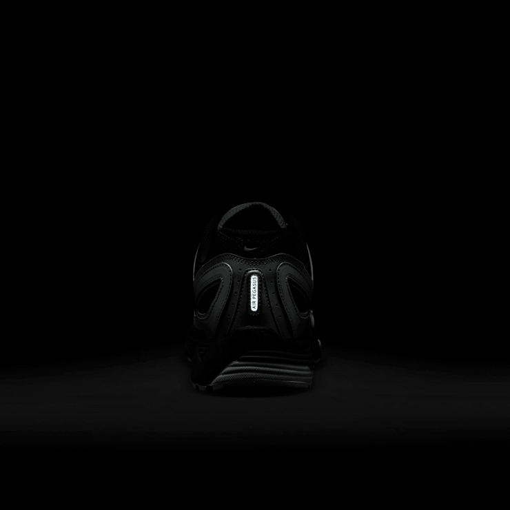 Nike Air Pegasus 2005 Angle 7