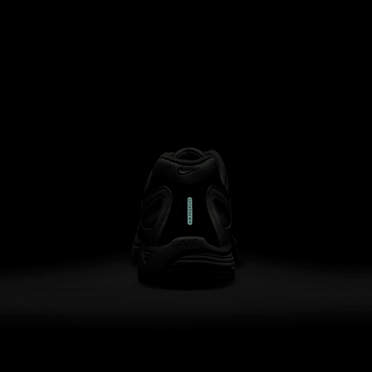 Nike Air Pegasus 2005 Angle 6