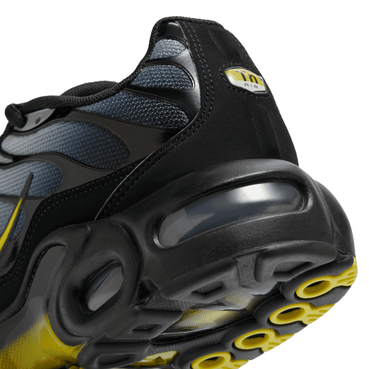 Nike Air Max Plus (GS) Angle 5