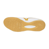 Mizuno Monarcida Pro White Gold Angle 2