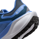 Nike Pegasus 41 GORE-TEX Cobalt (W) Angle 5