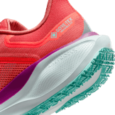 Nike Pegasus 41 GORE-TEX Picante Red Angle 5