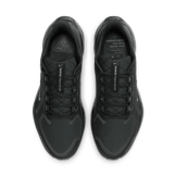 Nike Pegasus 41 GORE-TEX Waterproof Road Angle 1