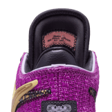 Nike LeBron 20 Young Heirs (GS) Angle 6
