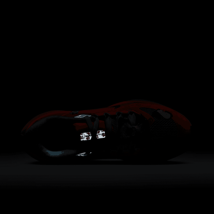 Nike Air Zoom Pegasus 41 DB Tima Sviridenko Angle 6