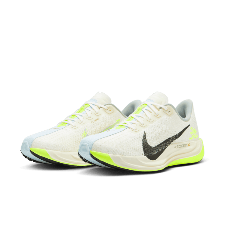 Nike Pegasus Plus Road Angle 2