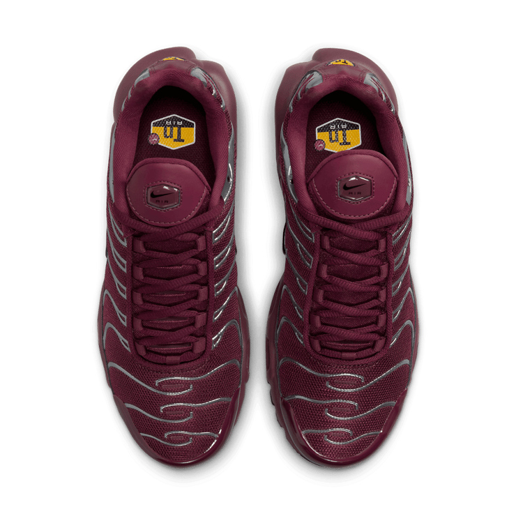 Nike Air Max Plus SE 'Night Maroon Chrome Silver' (W) Angle 2