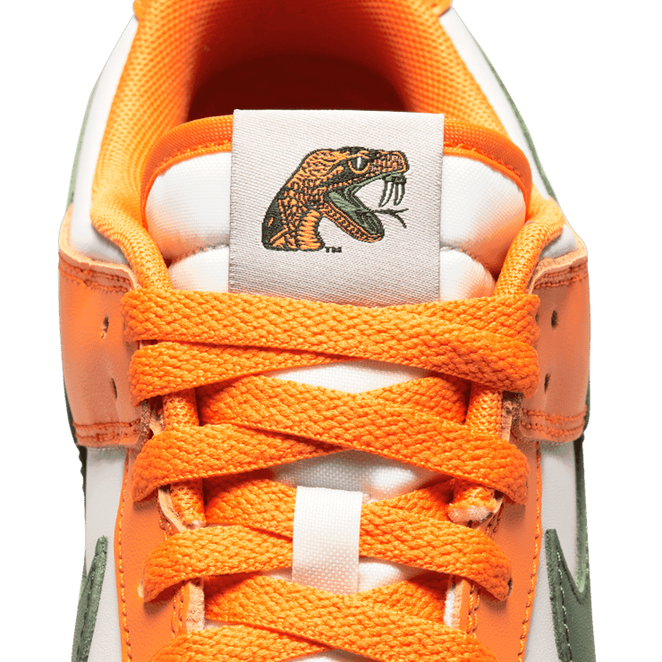 Nike Dunk Low FAMU Angle 6