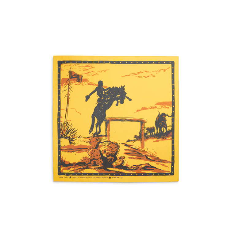 Nike SB Dunk Low BHM Rodeo Angle 5