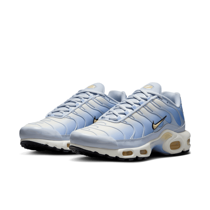 Nike Air Max Plus Daybreak (W) Angle 1