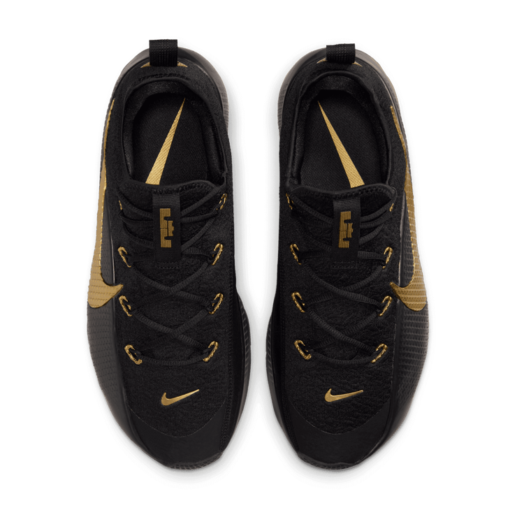 Nike LeBron TR 1 Black Metallic Gold Angle 1