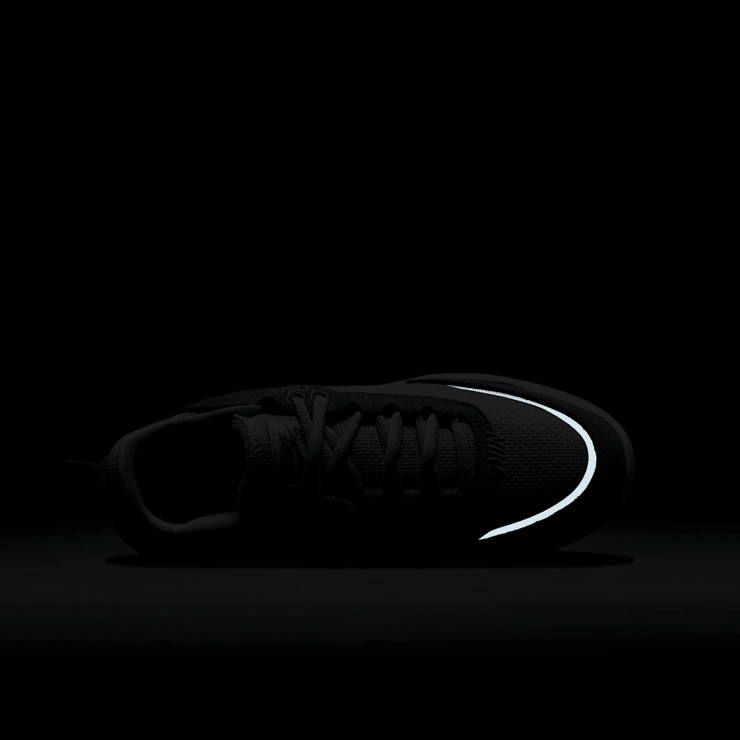 Nike SB Day One Skate Angle 6