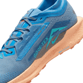 Nike Pegasus Trail 5 GORE-TEX Waterproof Trail Angle 3