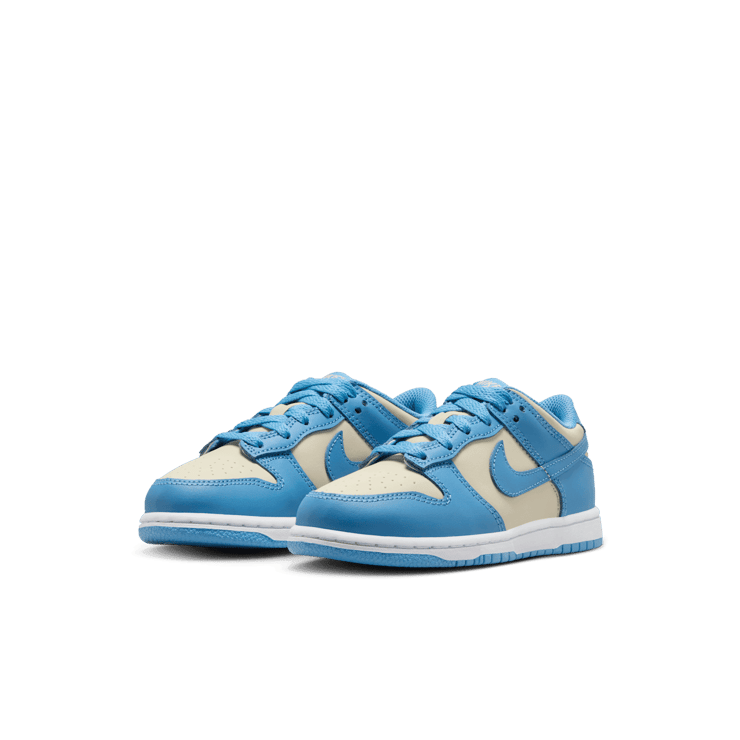 Nike Dunk Low Angle 2