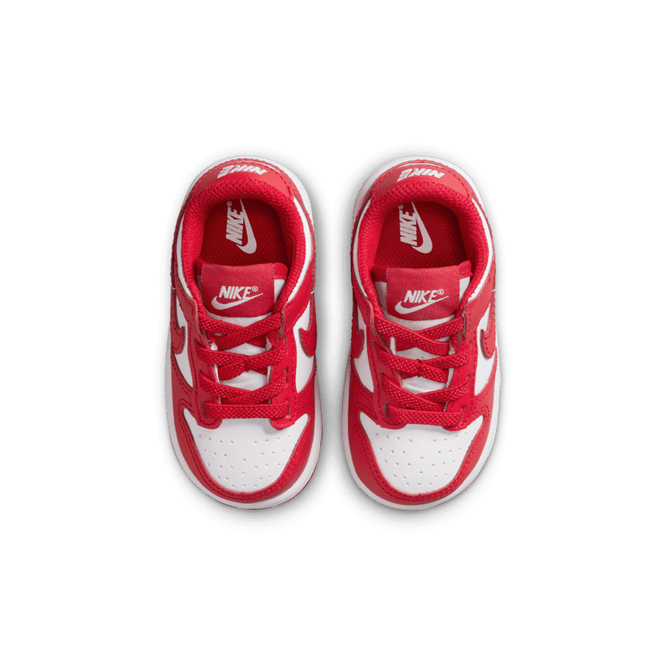 Nike Dunk Low Angle 1