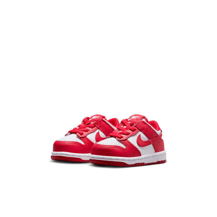 Nike Dunk Low Angle 2