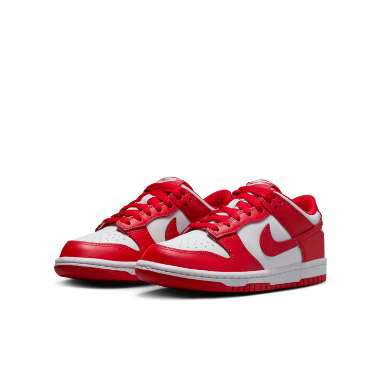 Nike Dunk Low Angle 2