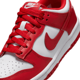 Nike Dunk Low Angle 4