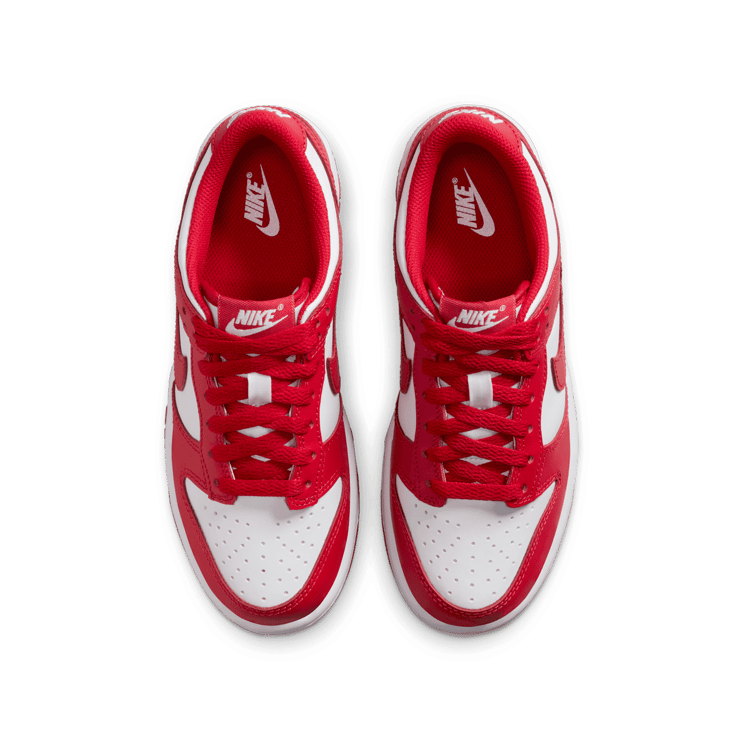 Nike Dunk Low Angle 1