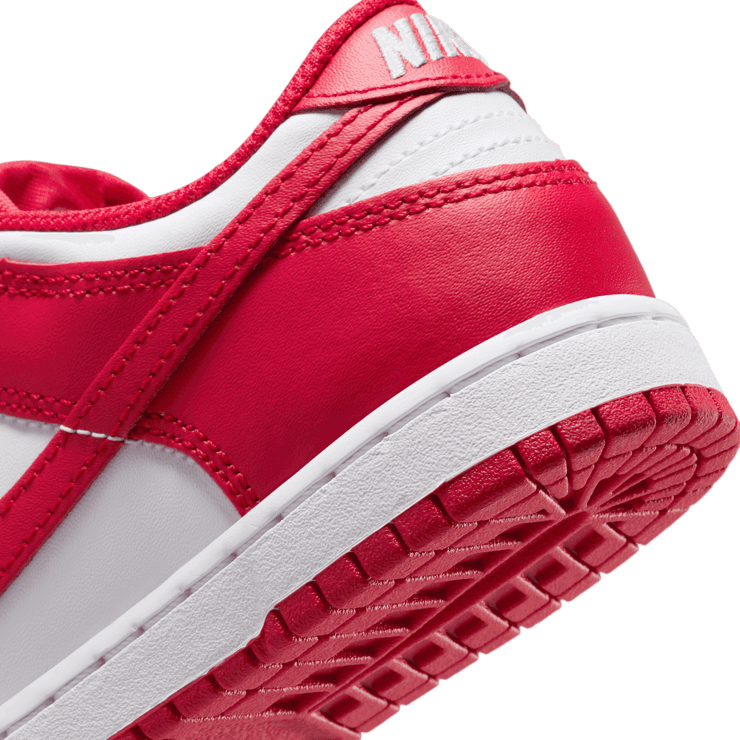 Nike Dunk Low Angle 5