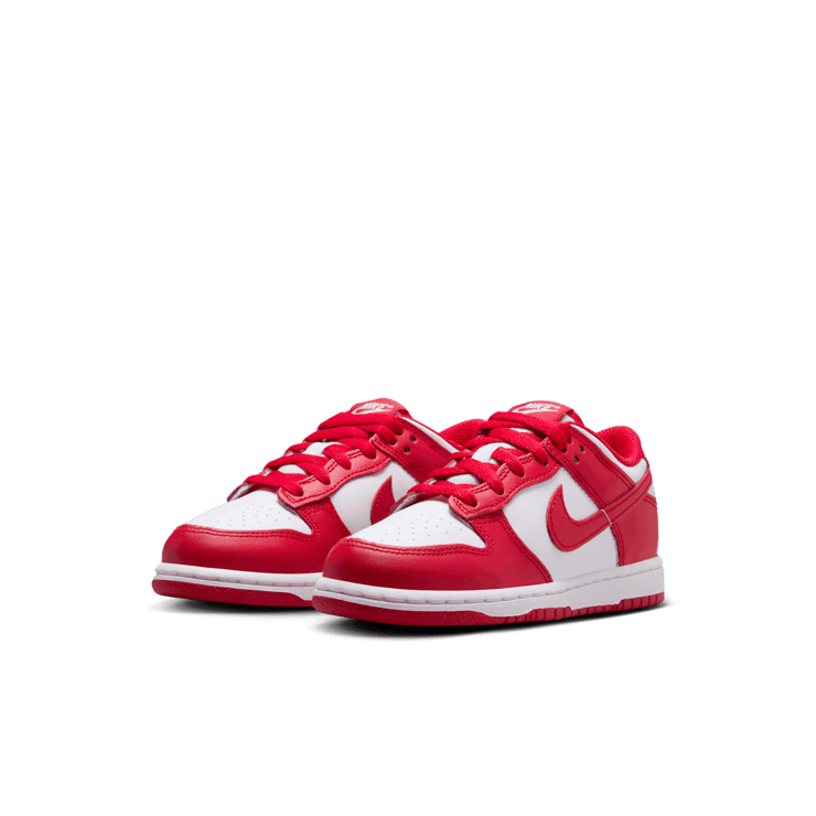 Nike Dunk Low Angle 2