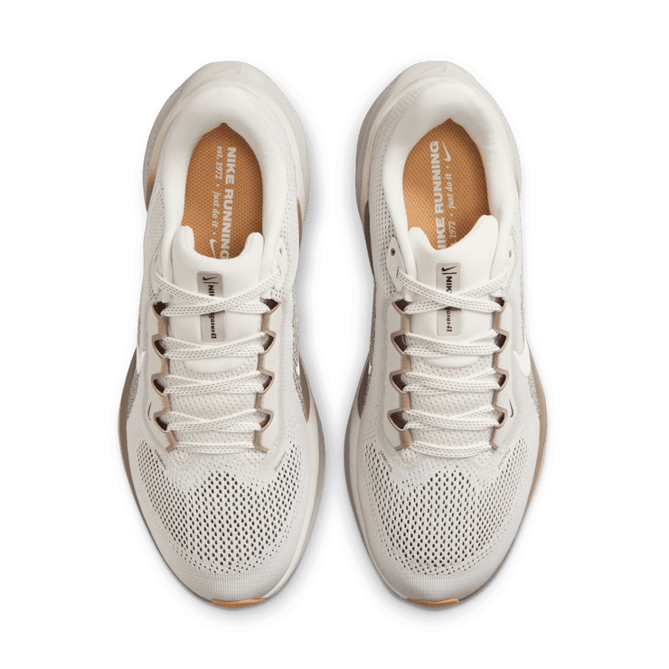 Nike Pegasus 41 Road Angle 1