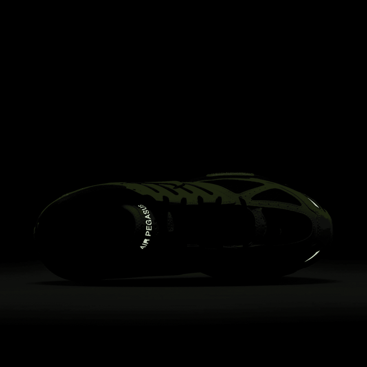 Nike Air Pegasus 2005 Angle 6